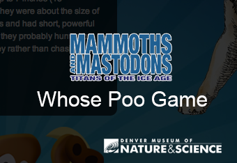 Image for link Whose Poo Game